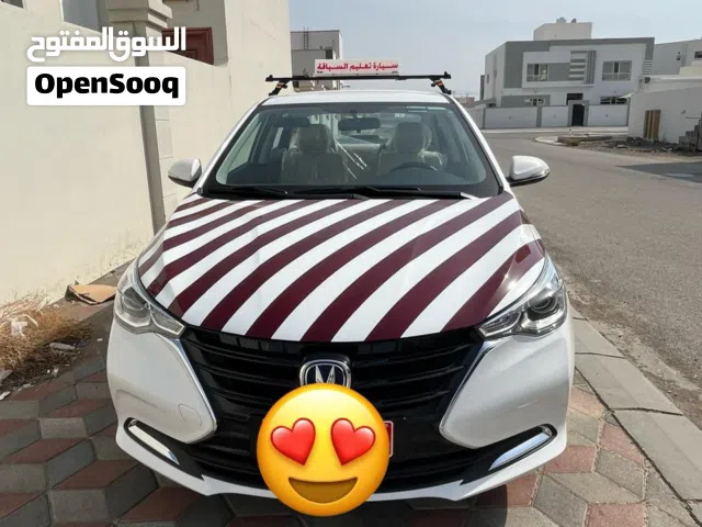 شانجان السفين 2024