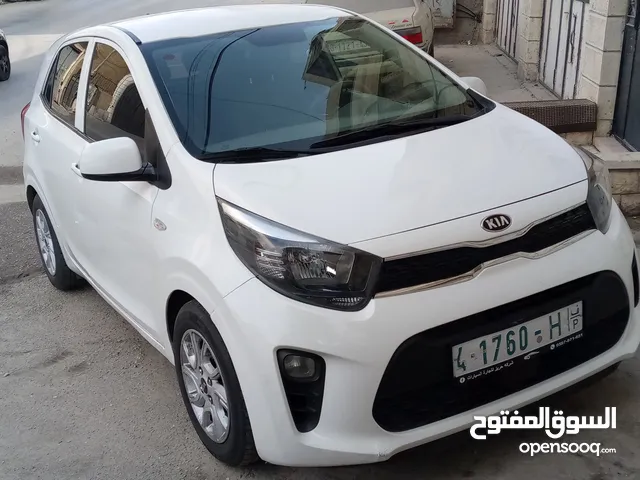 كايا مورننغ 2019 ترخيص2018