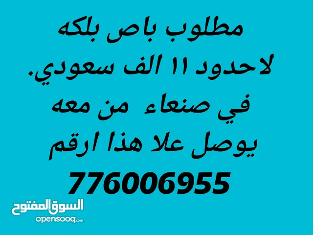 مطلوب لشرا   باص بلكه لحدود 11الف مشتري جاد