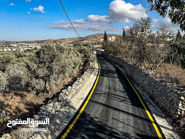اراضي بمنطقه عصيرةالشماليه