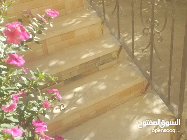 75 m2 2 Bedrooms Apartments for Rent in Giza 6th of October