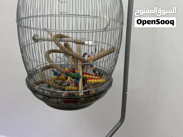 Stand cage for birds