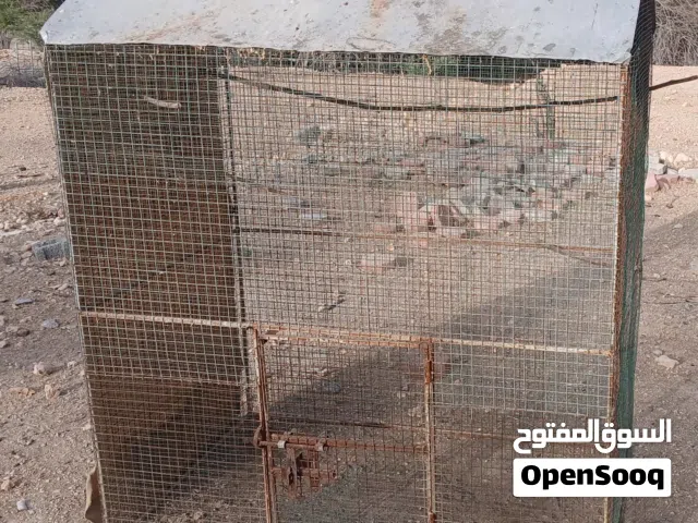 للبيع قفص مستخدم يصلح حال اغلب أنواع الطيو الوصف مهم تحت