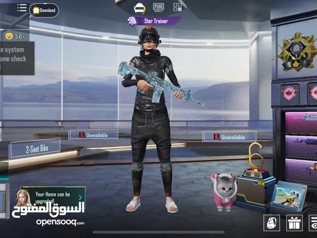 حـساب ببجي للبيع نوادر