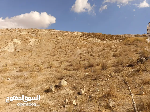 Commercial Land for Rent in Nablus Al-Aghwar