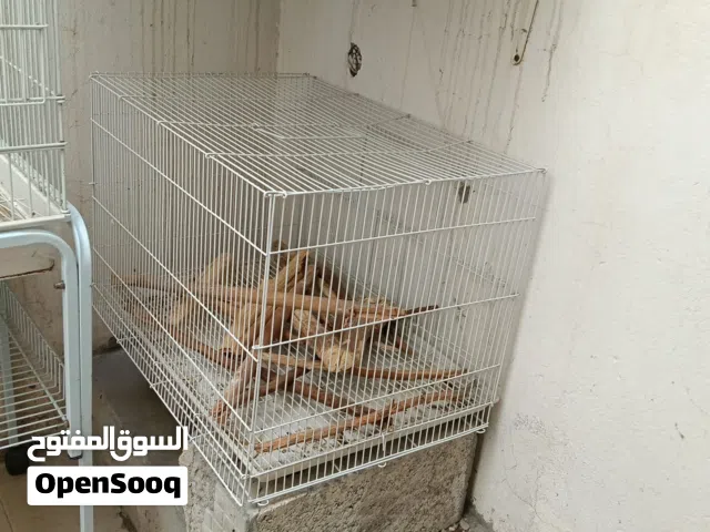 أقفاص للبيع