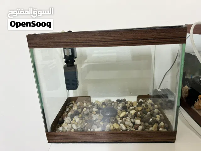 حوض سمك جاهز - عرض 30 مع فلتر واحجار نهرية طبيعية