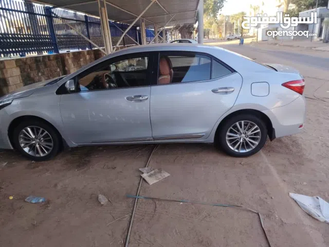 كوريلا 14 فطيم دعاء السفر