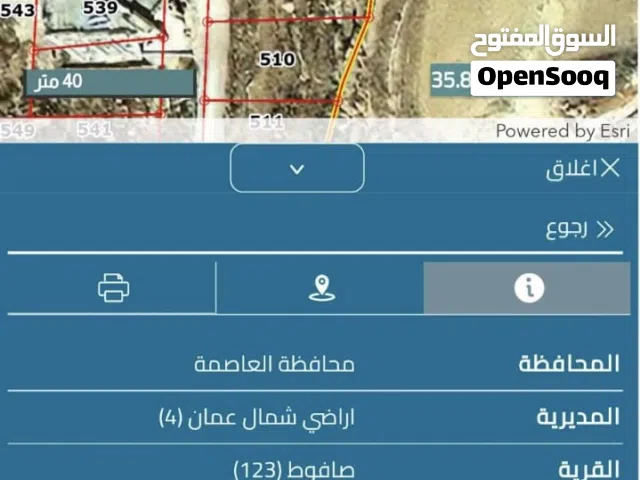 ارض للبيع ، موقع مميز قرب شارع الأردن ومطل ابو نصير وقصر الاميره بسمه ، مقابل ملاهي جبيهه