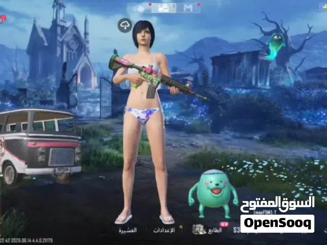 Pubg Accounts and Characters for Sale in Baghdad