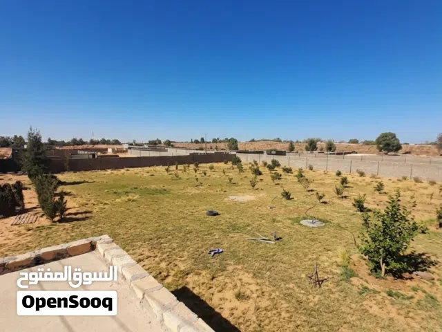Farm Land for Sale in Zawiya Other