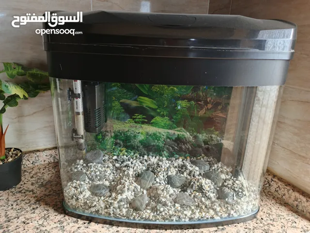 حوض سمك للبيع