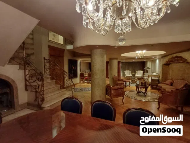 دوبلكس للبيع 350م مدينه نصر ش موسي بن النصير بالقرب من ش الطيران و ش مصطفي النحاس .