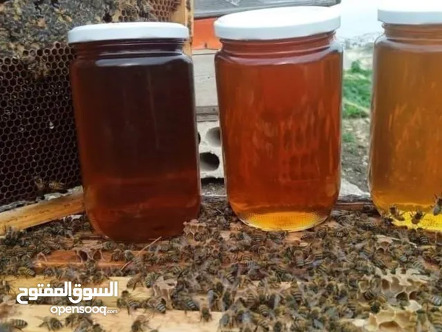 جميع انوع العسل