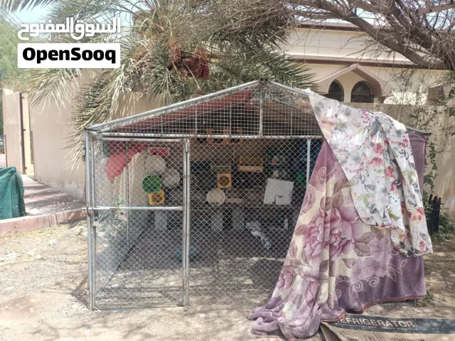 قفص لبيع 65ريال قابل تفاوض