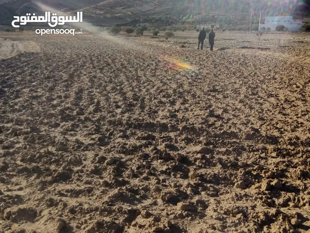 Residential Land for Sale in Taza Other