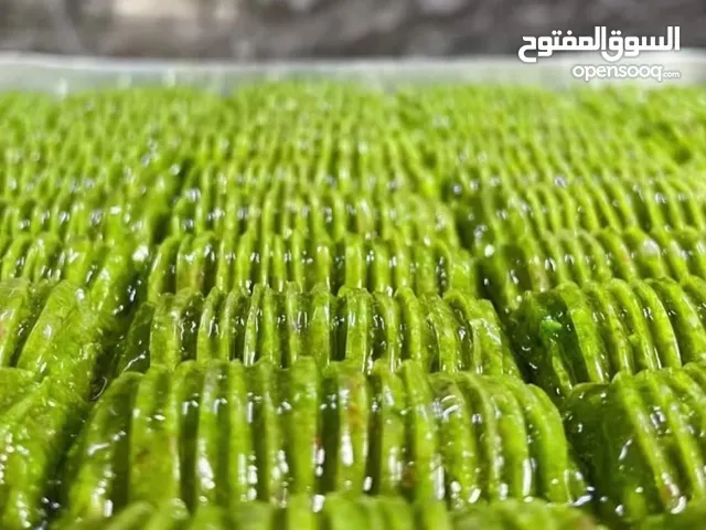 جوز روز اليف مافي عض