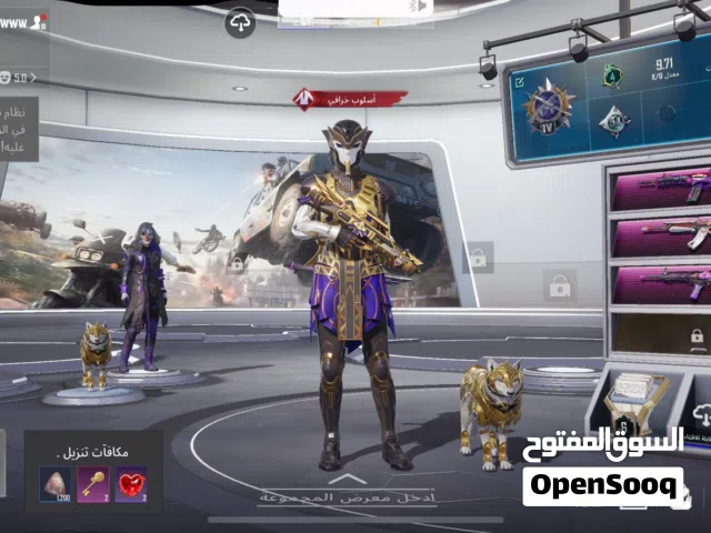 Pubg Accounts and Characters for Sale in Abu Dhabi