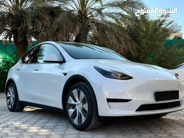 New Tesla Model Y in Abu Dhabi