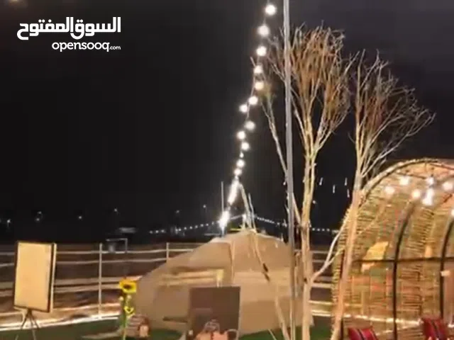 اضاءة مخيمات للزينه ب اسعار مرضيه
