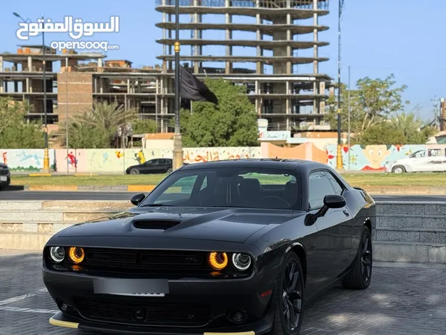 جالنجر RT Max 2023