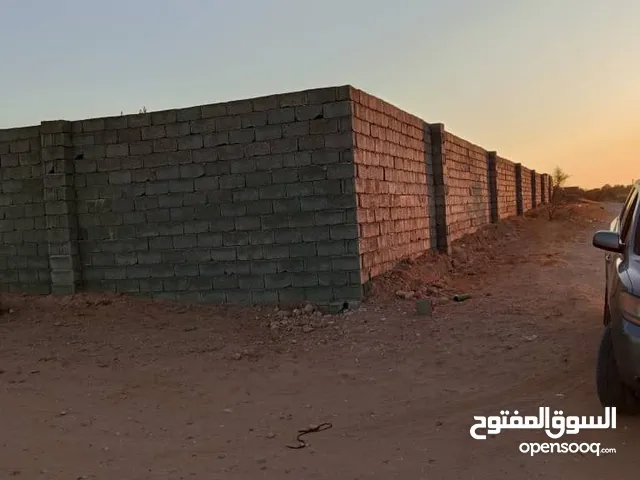 Farm Land for Sale in Tripoli Wadi Al-Rabi