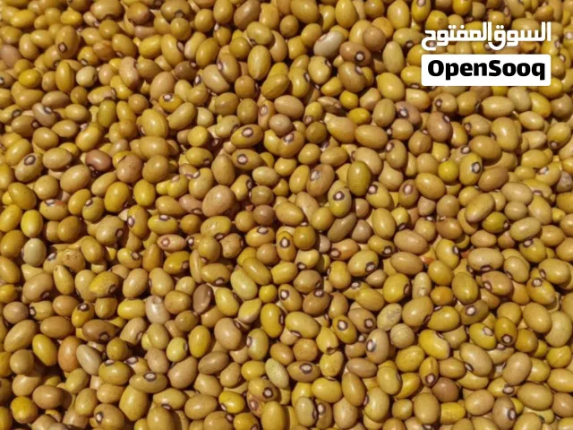 We supply All kind of beans by orders