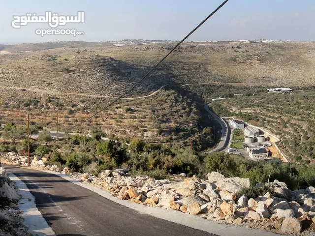Mixed Use Land for Sale in Salfit Farkha