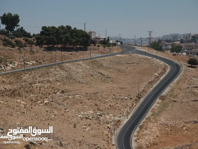 طريق السرو حوض الربيدي خلف جامعة عمان الاهليه