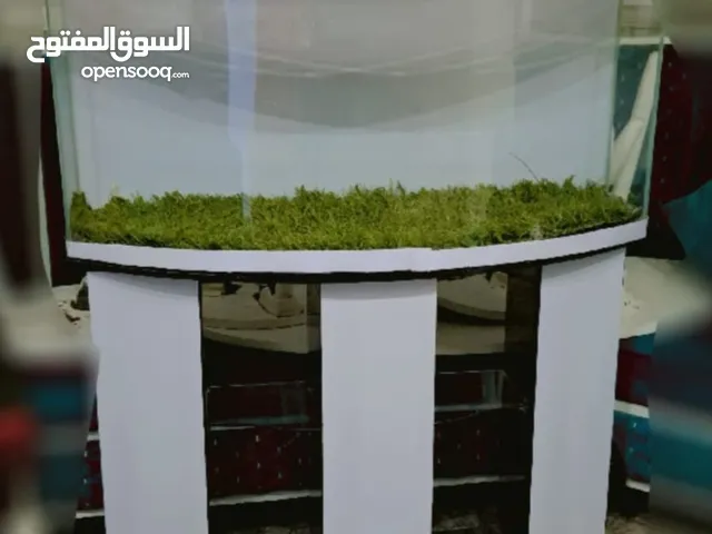 حوض سمك للبيع