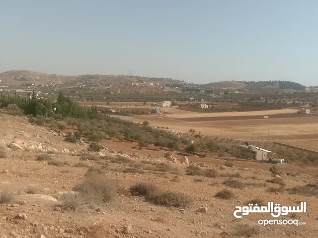 قطعة ارض شرق جرش مرويه من بئر ارتوازي مطله ومرتفعه بسعر مغري متوفر أكثر من 50 قطعه في نفس المنطقه