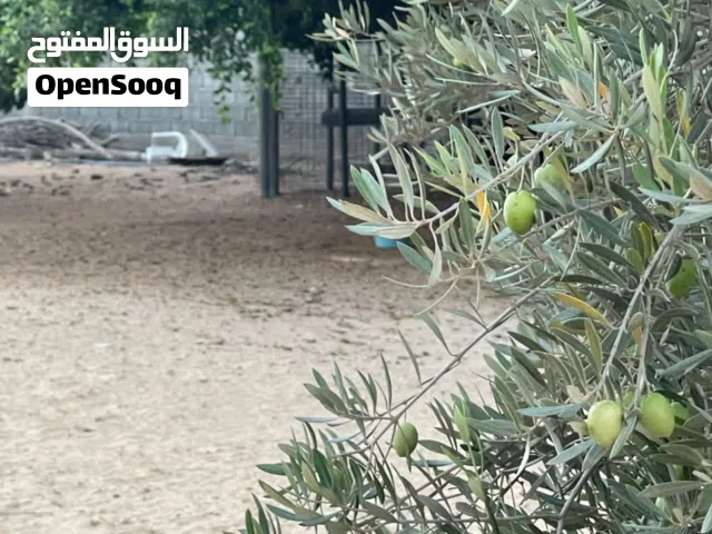 مزرعة للبيع