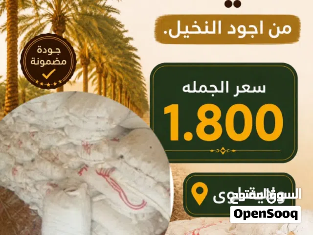 تمر نفيعه بجوده