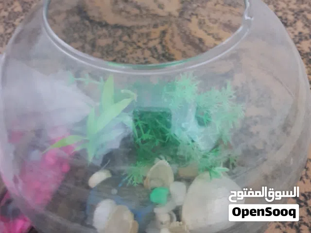 حوض دائري بي مستلزماته