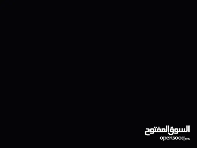 مطلوب كلب للتبني كبير ولا جرو عادي