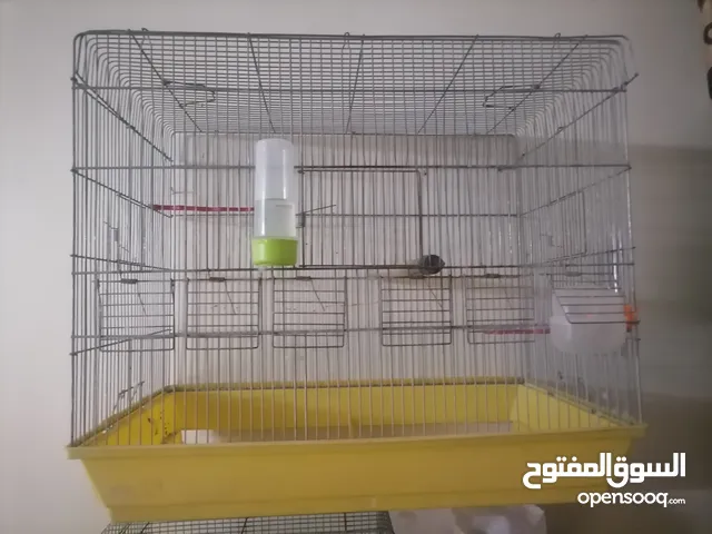 قفص وفحلين حب للبيع فحل هوجو رومو بس مش لاف ورد ع جناحو وحبه بلدي للبيع القفص 6 معالف وكمان قفص 3معا