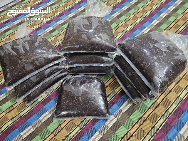 سح بودعن  مطحون ومنزوع النوى