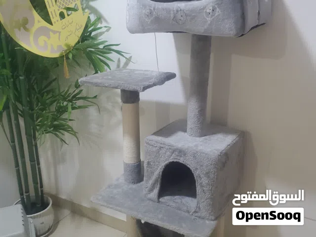 بيت للقطط ممتازه