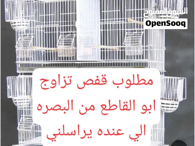 مطلوب قفص تزاوج ابو القاطع من البصره بسعر مناسب