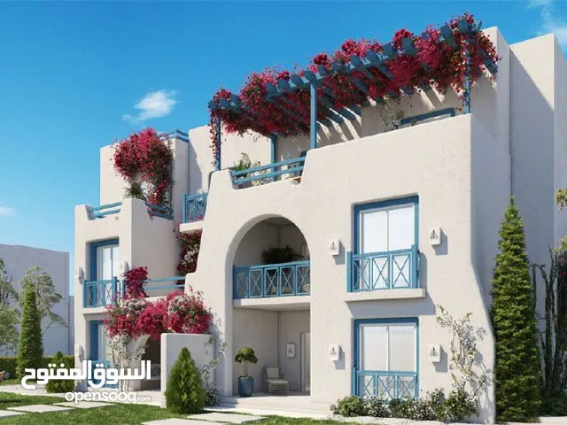 1 Bedroom Farms for Sale in Matruh Alamein