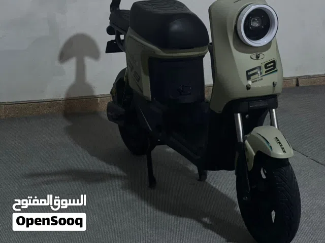 دراجة شحن للبيع R9