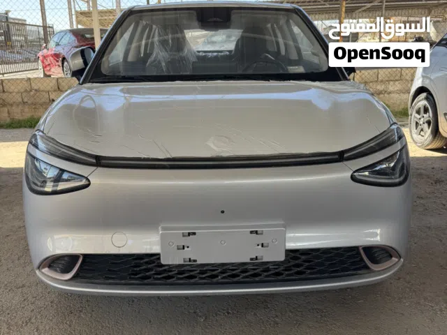 2025, Dongfeng, Nammi Box