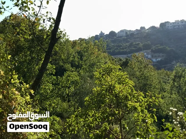 Farm Land for Sale in Batroun Other