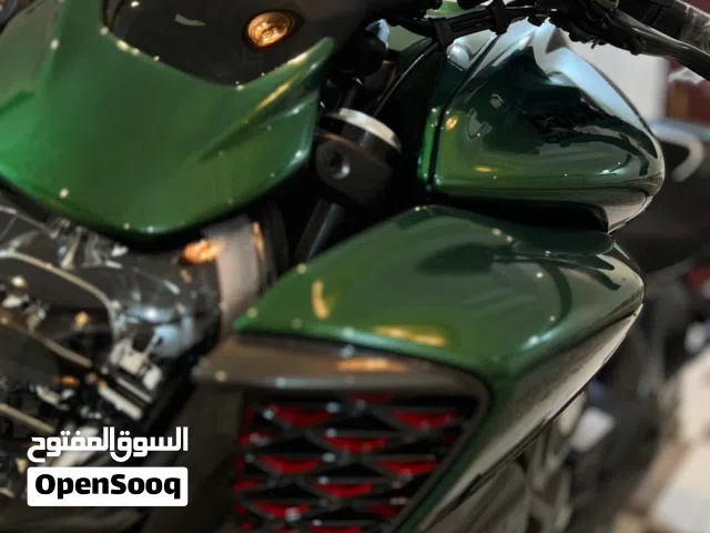 2024 بينيلي أخرى