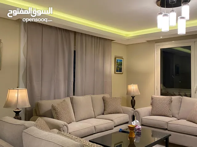 250 m2 2 Bedrooms Apartments for Rent in Giza Dokki