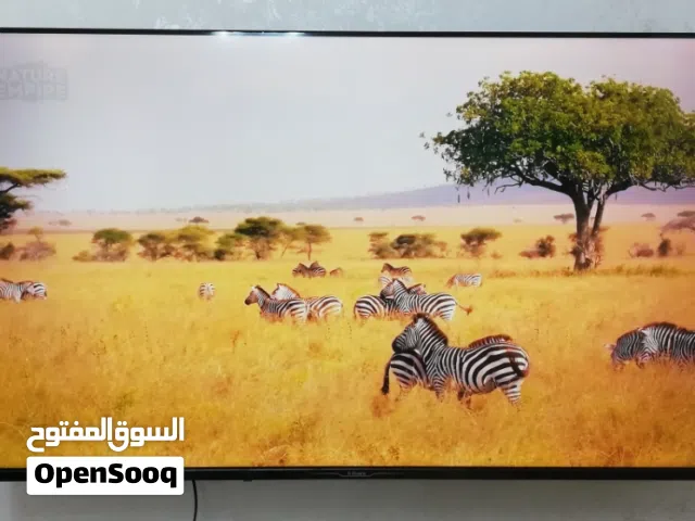 شاشة جي غارد 50 بوصة QLED فل سمارت رايزر 2026 أحدث موديل