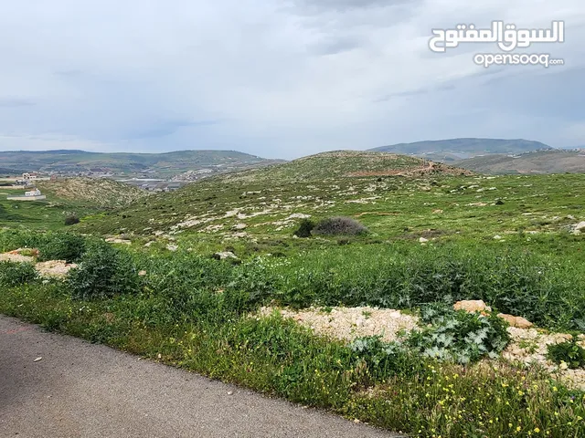 Mixed Use Land for Sale in Nablus Taluza