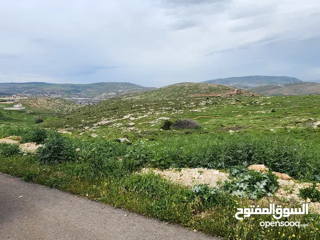 Mixed Use Land for Sale in Nablus Taluza