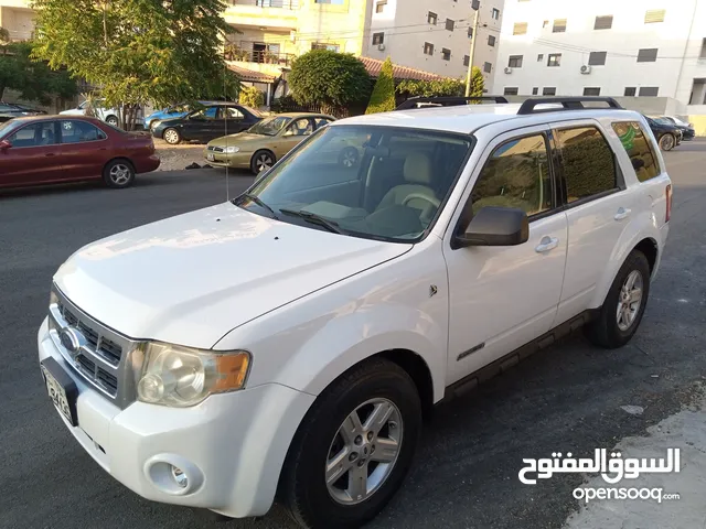 New Ford Escape in Amman