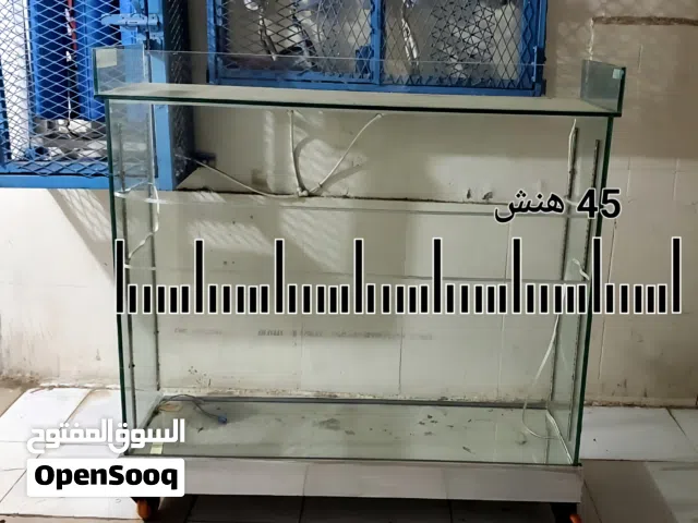 بترينه زجاج ضخمه
